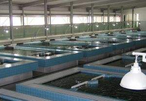 空氣能水產養(yǎng)殖熱泵原理