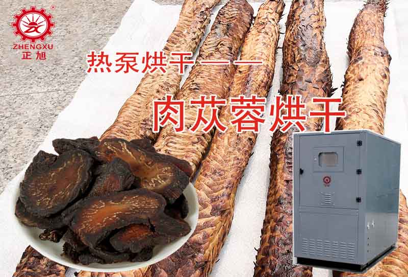 正旭肉蓯蓉熱泵烘干工藝（烘干溫度、時間）