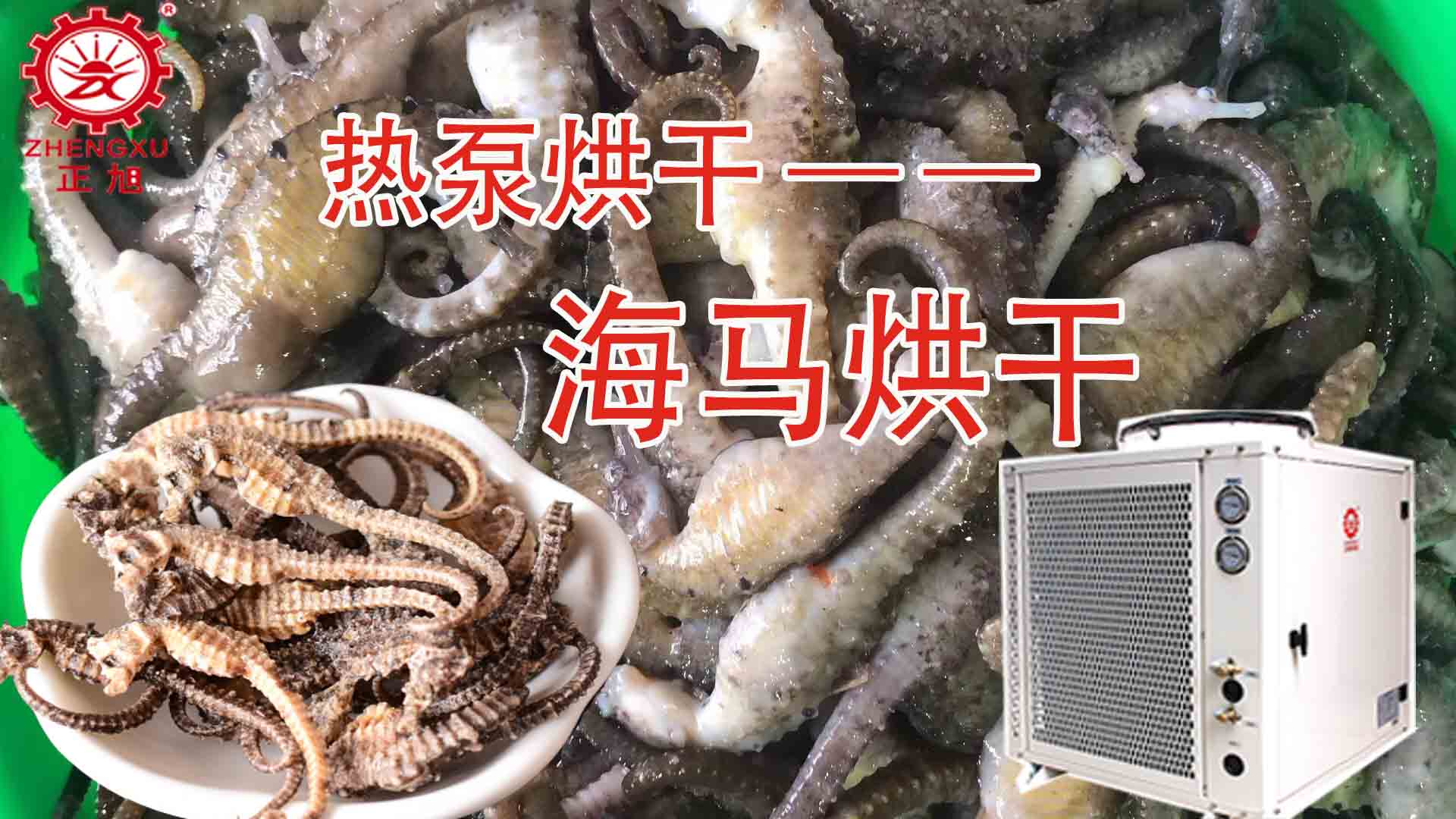 海馬熱泵烘干方法詳解（含研粉、清洗、宰殺、烘干時(shí)間）